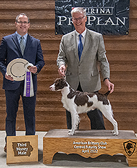 Bantam N Dr Jacs Shooter MH Proud Breeder of this Dual Champion