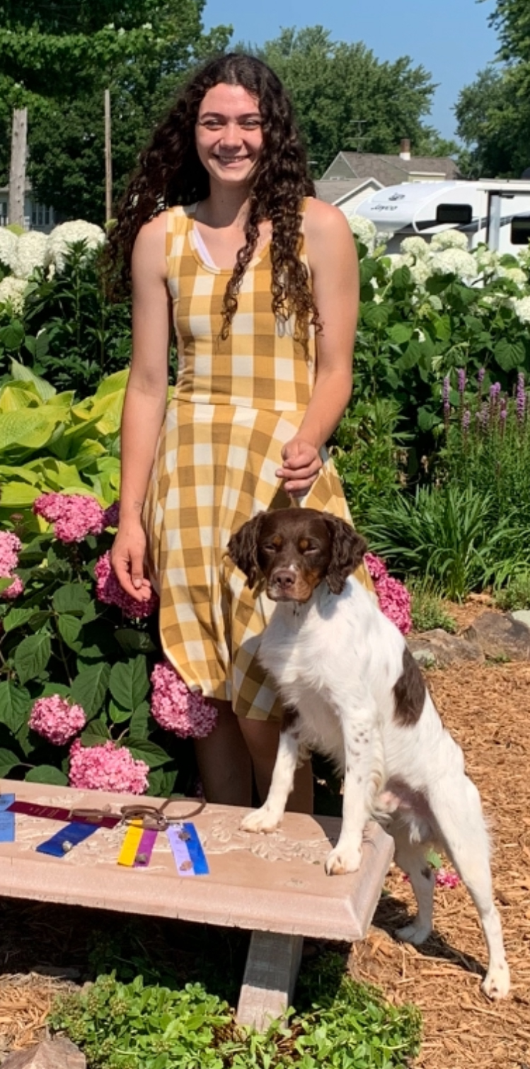 Harley - Win at the Derby Stakes MN Brittany Club Trial June 2023