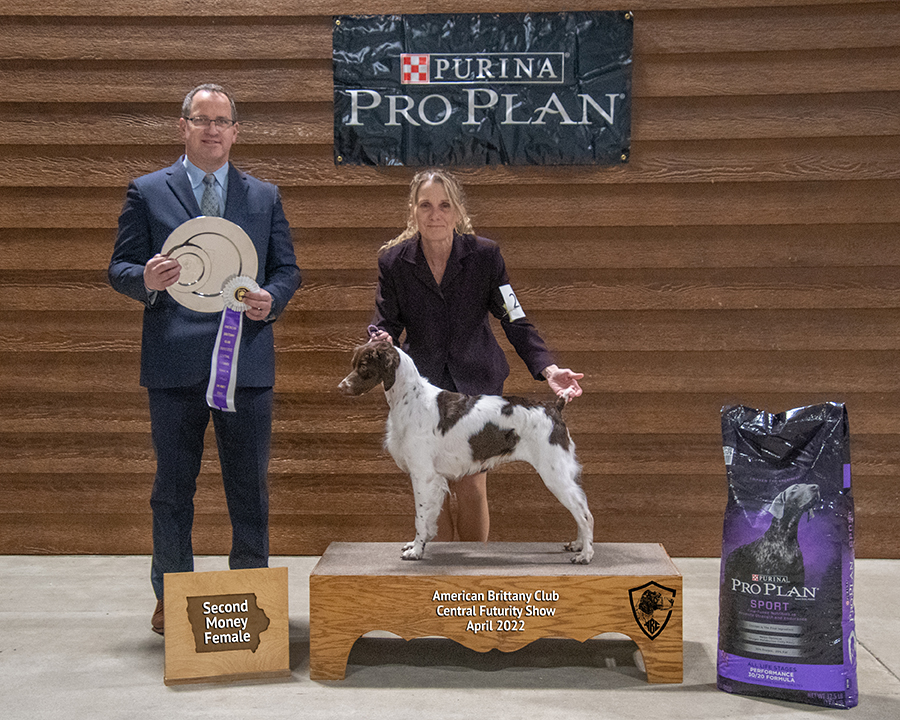 2023 Central Futurity 3rd Place Gun Dog